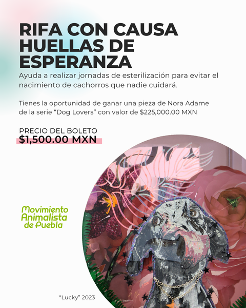 PARTICIPA EN HUELLAS DE ESPERANZA