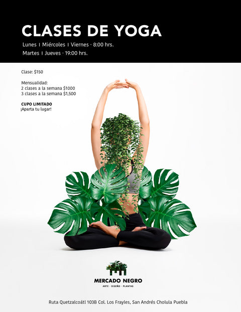 Clases de Yoga